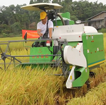 品質(zhì)穩(wěn)定